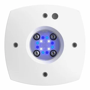 AI Prime SOL 46Watt -weiß- NEUHEIT! DER Klassiker ist zurück in der Primeform!  - Bild 1 von 4