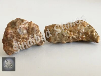 Vómito de serpiente - Para todos los asuntos de la vida زوعة الثعبان, الحية - شامل لجميع امور الحياة Foto 1 de 4