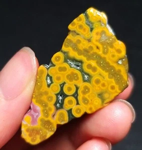 Rare 19G Natural Orbicular Ocean Jasper Rough Stone Healing Madagascar QC418 - Picture 1 of 13