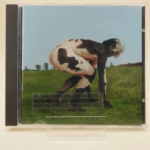 M. Walking On The Water - Pictures Of An Exhibitionist | CD | Zustand sehr gut - Bild 1 von 2