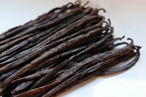 20 Madagascar Extract Grade B Bourbon Vanilla Beans - Picture 1 of 6
