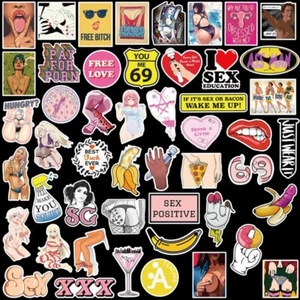 96Pcs Adult Sticker Bomb Vinyl Laptop Water Bottle Luggage Sexy Girl Decals Pack - Picture 1 of 12