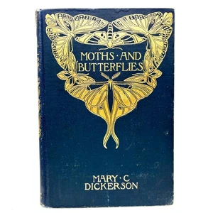 DICKERSON, Mary C. "Moths and Butterflies" [Ginn & Company, 1901] - Bild 1 von 5