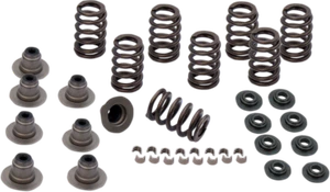 S&S KIT MOLLE VALVOLE HARLEY DAVIDSON FLTRU 17> - Foto 1 di 1
