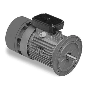 Motor eléctrico Trifásico 0.75 kW 1400 rpm B5 MEC 80 - Imagen 1 de 2