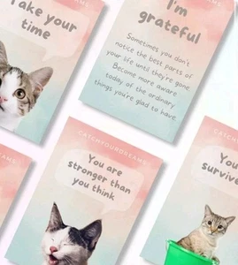 Cats Against Anxiety Cards Front and Back - Picture 1 of 5