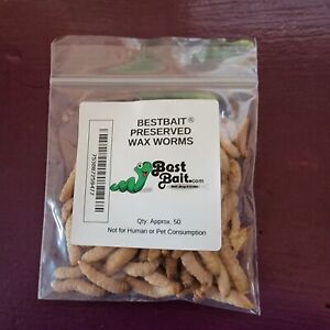 Bestbait Preserved Waxworms Grubs 50 ct.+ per pack Natural Color wax worm 
