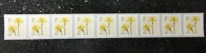 2024USA #5903 2c Daffodils - Plate Number Coil Strip of 9 - PNC Mint flowers - Picture 1 of 2