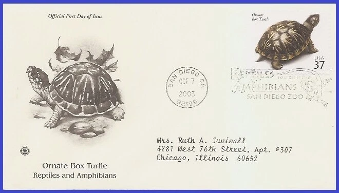 USA5 #3818 ADDR PCS ARTCRAFT FDC   Ornate Box Turtle - Image 1 of 1