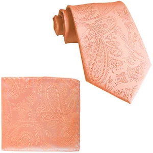 Nueva corbata y pañuelo de poliéster para hombre cachemira melocotón boda graduación ocasiones - Imagen 1 de 3