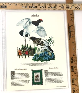 Alaska Commemorative Mint-Stamp Postal Commemorative Society Collectable. - Picture 1 of 1