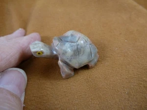 Y-TUR-LA-11 tan gray red Tortoise land turtle SOAPSTONE FIGURINE little turtles - Picture 1 of 1