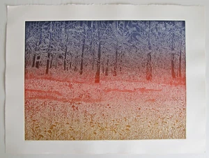 Nocturno. Grabado. Impresión firmada y numerada por Ruth Leaf - Imagen 1 de 12