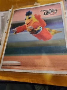 San Diego Huhn Bild 8x10, Gary Railcat Rail Kitten's Autos - Bild 1 von 4