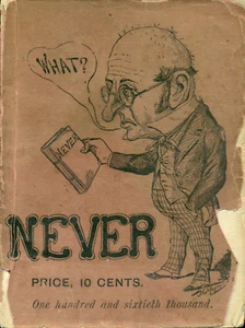 NEVER an Invaluable Guide for Young and Old, 1887, Landy Larkin - Picture 1 of 2