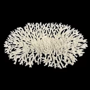 WECO South Pacific Coral Replica Oval Tabletop Coral - Lrg - Picture 1 of 1