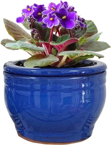 African Violet Pots Self Watering 6" round Ceramic Violet Pot Blue - Picture 1 of 1