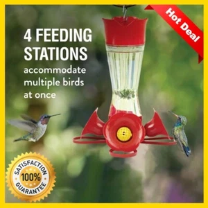 Pet 8 Oz Nectar Hummingbird Feeder Pinch Waist Clear Glass - Picture 1 of 3