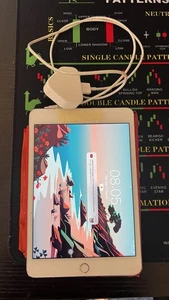 Apple iPad Mini 4 32GB, WiFi, Cellular, Unlocked. With Box - Picture 1 of 7