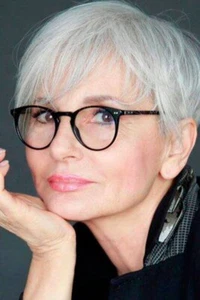 Fashion Women Short Straight Natural Wigs Full Party Silver Grey Glueless Wig - Picture 1 of 7