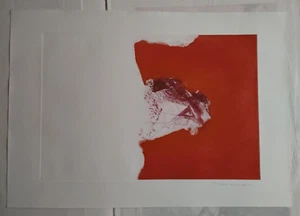 Martini Sandro "Duale" Acquaforte/Acquatinta. Copia:XIV/XXXIII. Grafica Uno 1976 - Foto 1 di 2