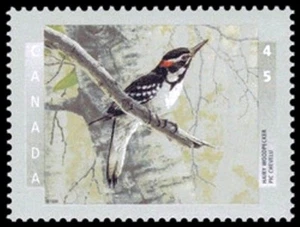 🍁Canada   # 1710    "BIRDS OF CANADA"    Brand New  1998  Original Pristine Gum - Picture 1 of 2