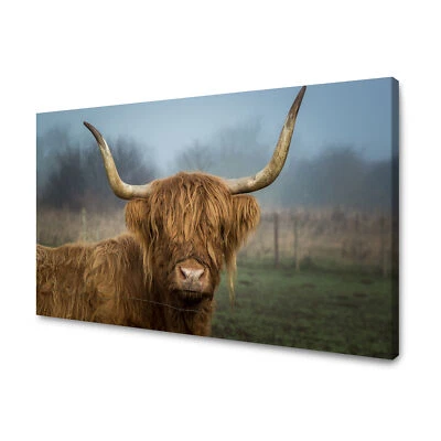 CANVAS Leinwandbilder XXL Wandbilder Kunstdruck Tiere - Kuh Größe 40x30-120x80 - Bild 1 von 4