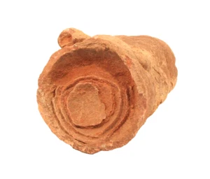 Moroccan stromatolite fossil - Picture 1 of 2
