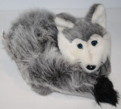 K&M Intl Silver Fox Wolf Husky 8" Curled Tummy Plush Soft Toy Stuffed Blue Eyes - Image 1 of 4