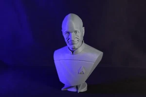 Captain Jean-Luc Picard Bust USS Enterprise Sculpture Star Trek Sci-Fi - Picture 1 of 7