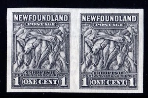 #253a 20.4mm pair Newfoundland Canada mint never hinged well centered - Picture 1 of 2
