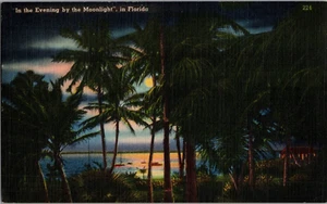 Postkarte Abend bei Mondschein Florida verschickt 19?? - Bild 1 von 2