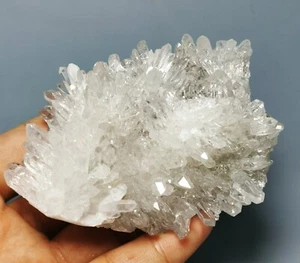 Natürlicher klarer weißer Chrysanthemenkristall Himalaya-Quarz Cluster/Mineral - Bild 1 von 11