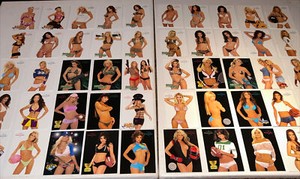 💋50 Card 2003-04 Benchwarmer Playboy Models NIKKI ZIERING LISA GLEAVE ROOKIES