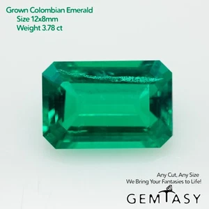Piedra cortada - Esmeralda colombiana laboratorio hidrotermal cultivada, faceta Oct 12x8mm 3.7-4.0ct - Imagen 1 de 2