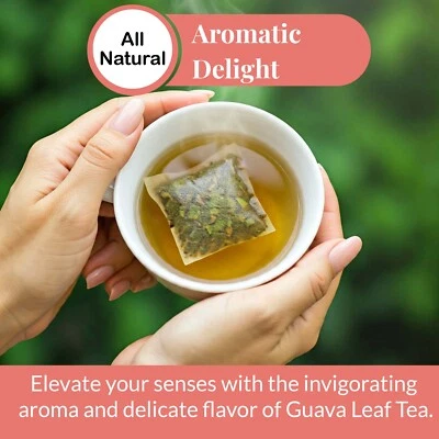 75 Guava Leaves Tea Bags, 100% Pure Guava Leaf Tea, Herbal Tea, Diabetic Tea - Image 1 of 4