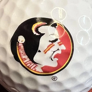 Florida State University Seminoles Football Logo Used Golf Ball (L-20-3) - Picture 1 of 7