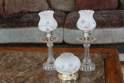 Lámparas de mesa esmeriladas florales de colección con accesorio de techo a juego Foto 1 de 4