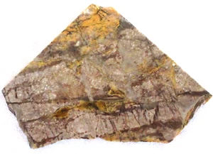 Jasper Slab - Gold - Brown - White - 190 Grams - Arizona - Picture 1 of 2