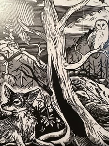 BYSSUS IN FORAS DARK FOREST FOLK CASSETTE UNDERGROUND SANTA CRUZ CALIFORNIA - Picture 1 of 5