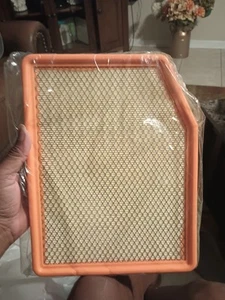 FC1 2019-2023 Chevy GMC Sierra 6.2L Silverado Tahoe Yukon Air Filter Used - Foto 1 di 4