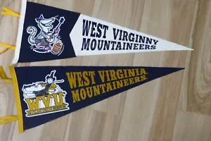 VINTAGE WIMPEL FILZ WEST VIRGINIA MOUNTAINEERS NEUWERTIG 31,5X12 30x12 COOLE LOGOS - Bild 1 von 3