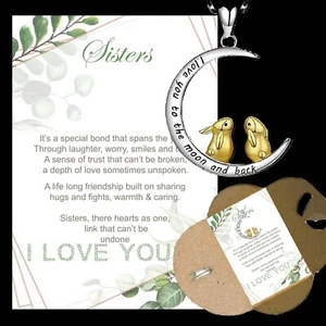 Sisters Silver necklace Pendant jewellery Gift box Chain gifts for her Birthday - Picture 1 of 9