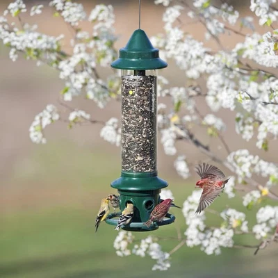 Brome Squirrel Buster Plus Squirrel Proof Bird Feeder w/ Cardinal Ring 1024 - Image 1 of 4
