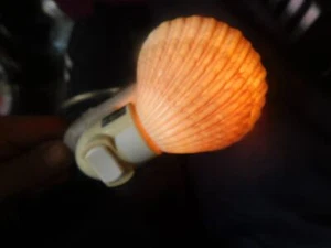 Mexican Deep Nitelite Real Sea Shell Night Light with Bulb Nitelight # 5 - Picture 1 of 9