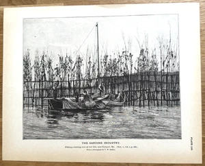 Impresión de pesca de la industria de la sardina pescando una presa de arenques en Eastport Maine 1887 - Imagen 1 de 13
