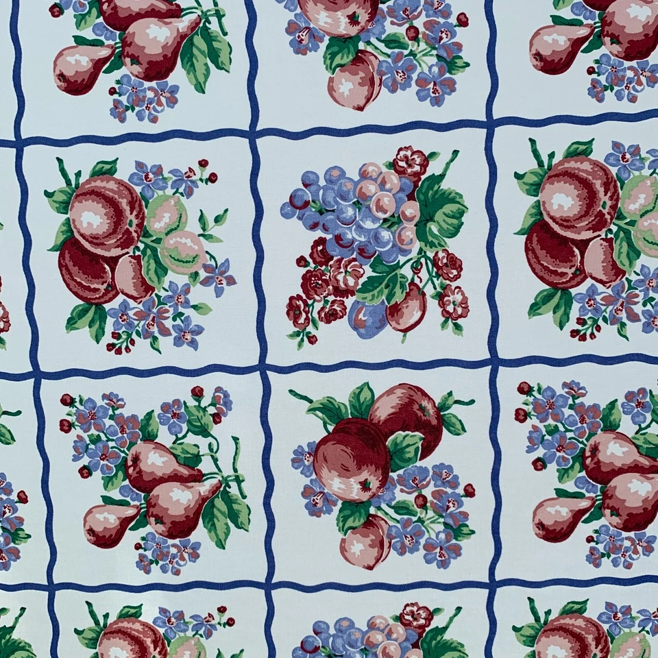 Nueva tela de cocina o mesa de algodón de los años 90 4,3 yardas marco azul fruta en blanco Foto 1 de 4