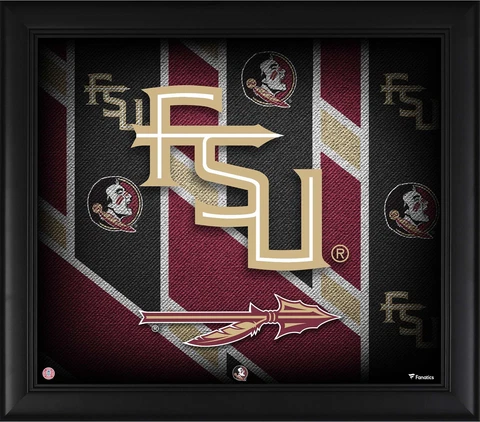 Florida State Seminoles Framed 15" x 17" Team Threads Collage Cover