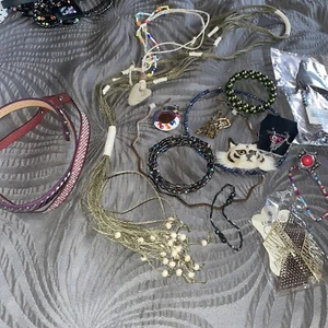 Lot Of Costume Jewelry. Paparazzi Includes Tiger Pin Necklaces Earring Pc 12 + - Picture 1 of 7