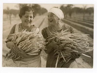 Asparagus Farmers German Women Berlin Robert Sennecke 1934 Photo - Image 1 of 2